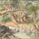 보람약국 이미지