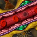 진주산소 이미지