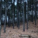 팔곡당산 산신당 및 산신제 | 안산 팔곡당산 산신당