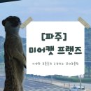 카페 프랜즈 | [경기] 파주 가볼만한곳: 미어캣 프랜즈, 쾌적하고 야무진 파주 동물 체험형 실내동물원🐾
