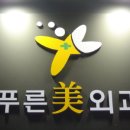 푸른미