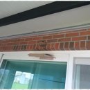 영덕 스테이 이미지