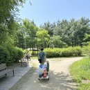 난지천3(축구장) | 상암 아기랑 가볼만한 곳 난지천공원 그늘막텐트 가능 주차