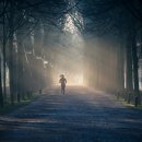 휘트니스파크 이미지