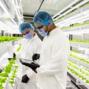 양사농장 이미지