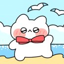 드레(dre.) 이미지