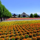 여름코스 이미지