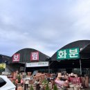 보림화훼
