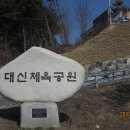 대신체육공원 축구장 이미지