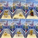 멍스 스쿨 이미지