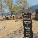 보성녹차(순천) Daum카페