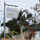 디딤돌문화센터 | 국가유산돌봄사업 제주문화유산돌봄센터 제주 애덕의 집 마음 나눔 행사 참여 후기