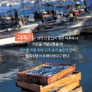 바다쿡 이미지