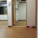 사파동265 이미지