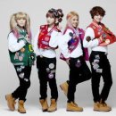 타이니지 카카오 검색결과