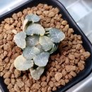 만상농장 이미지