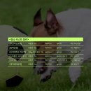 동백공원 생태 이미지