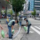 선비꼬마김밥둔산
