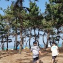 달빛고양이 | 오션뷰 강릉 경포대 달빛고양이 숙소 아이랑 가볼만한곳