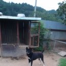 모노(Mono) Daum카페
