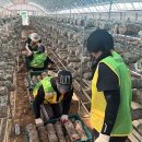 강일자원 이미지