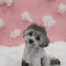 뚜뚜네 미용실 이미지