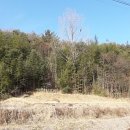 둥지농장2 이미지