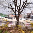 성남테크노과학고등학교 이미지