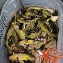 가은식당 - 문경시 가은읍 | 가은식당
