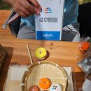 숙수 이미지