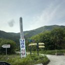 나리촌식당 | 울릉도 나리촌식당 내돈내산 후기