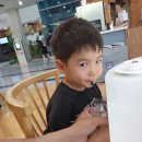 오산시 중앙도서관 | [25.6월] 오산 일상, 밀머리 파이&amp;카페 중앙도서관점