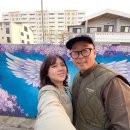 대구하나세계일주 | 제주살이 6년차 프리랜서부부의 제주여행법