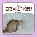 못골황토방 | 부산24시동물병원 :: 전문 의료진이 상주하는 유엔동물의료센터(부산고양이전문병원)