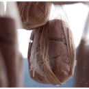 점순 농장 이미지