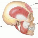 역삼-1744 이미지