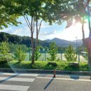 에코랜드수영장 축구장 이미지