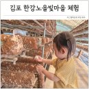 한강노을빛체험마을 | 경기도 아이와 가볼만한곳 김포 한강노을빛마을 실내 체험