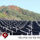 대동고려삼(주) - 부천시 소사구 | 대동고려삼(주)