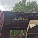 조이룸카페 | 시안3일차 1: 소안탑, saga백화점, 산시역사박물관, 조이시티 녹차식당