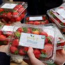 현이농장 이미지