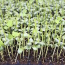 창식농장 이미지