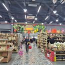 전부 | 베트남 esim 추천 ｜다낭 나트랑 푸꾸옥 여행 전부 유심사 이심 후기