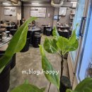 신촌고깃집 | 홍대 냉삼 맛집 찾는다면? 최고집 서교점 솔직 후기 신촌 냉삼, 홍대 고깃집 추천