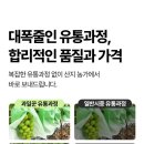 과일꾼