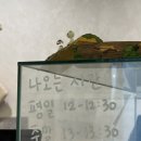 카페뇽뇽 | 시흥 은계지구 두바이 쫀득쿠키 두바이 디저트 맛집 '카페 뇽뇽' 내돈내산 후기