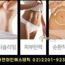 자연미인 에스테틱 이미지