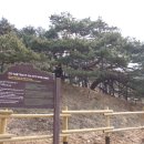 직두리 이미지