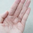 ㈜굿파마 | 뿌리볼륨 살려주는 여성 탈모샴푸 추천 려 루트젠 사용 후기