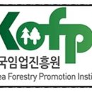 신영임업 네이버블로그